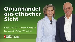 Organhandel und das Ausweiden der Menschen Prof Dr Harald Walach amp Dr med Petra Wiechel QS24 [upl. by Maller422]