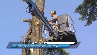 ✅ BATTIPAGLIA RIVOLUZIONE VERDE IN CITTA SUD TV 114 [upl. by Anilatsyrc842]