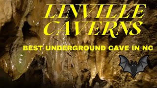 Linville Caverns  Best Underground Cave In North Carolina NC [upl. by Yenduhc666]