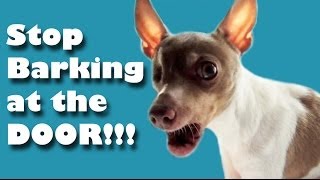 Stop barking at the door  Dog Training [upl. by Gnus]