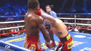 Best Boxing Knockouts 2013  Highlights HD [upl. by Zaria]