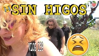 Una desagradable sorpresa  HDMI VLOG 139 Alicia Cuenta [upl. by Hanad]