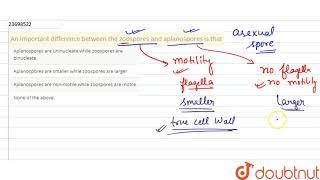 An important difference between the zoospores and aplanospores is that [upl. by Jolee]