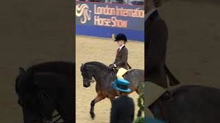 Harlow and Rolo competing at London International Horse Show ❤️ showpony [upl. by Irod]