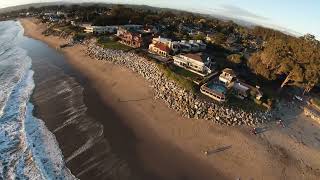 The Birds are teaching me How to Fly at The Beach Santa Cruz California learningtofly [upl. by Sotnas]