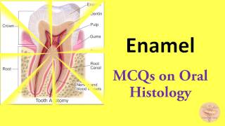 MCQs on Oral Histology Enamel  Amelogenesis for NBDE NDEB AIPGEE AIIMS ADA etc [upl. by Enilrac510]