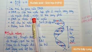 Nucleic acid DNA và RNA  Sinh học 9 P3 [upl. by Llerrom]