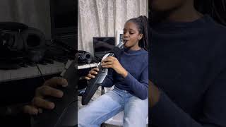 Playing the Roland Aerophone [upl. by Idhem]