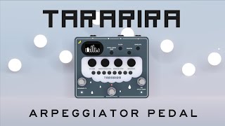 Arpeggiator pedal quotTARARIRAquot Pitch Shift Sequencer  Bananana Effects [upl. by Lezlie240]