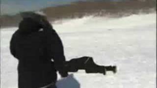 News Reporter Gets Hit By Sled [upl. by Retloc]