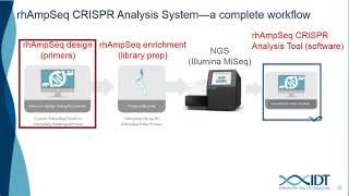 The rhAmpSeq™ CRISPR Analysis System—An endtoend solution for genome editing quantification [upl. by Wendt647]