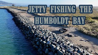 Hammering the Rock Fish on the Humboldt Bay [upl. by Inilam]