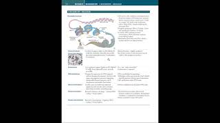 FirstAidExplained Biochemistry E01 pg 3440 [upl. by Sirap]