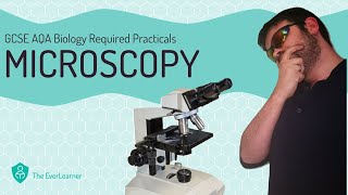 AQA GCSE Biology 91 Required Practical  Microscopy [upl. by Ayatal668]