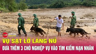 Tin tức 24h mớiTin Sáng 169 Huy động thêm lực lượng và chó nghiệp vụ tìm kiếm nạn nhân Làng Nủ [upl. by Noseaj]