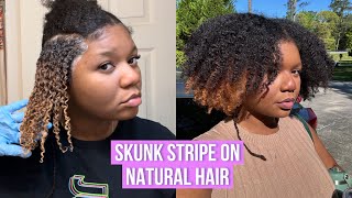 How I Do the Skunk Stripe on Natural Hair Crème of Nature Lightest Blonde [upl. by Gisela]