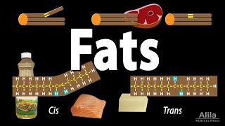 Unsaturated vs Saturated vs Trans Fats Animation [upl. by Tamarah]