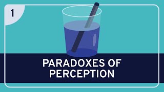 PHILOSOPHY  Epistemology Paradoxes of Perception 1 Argument from Illusion HD [upl. by Samantha]