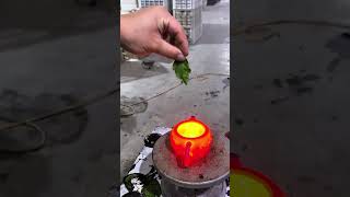 Color changing teapot add some color to your tea time teapots fypシ゚viral diy [upl. by Alolomo]