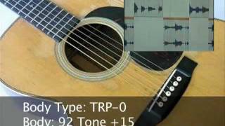 Roland GR55 and VG99 Acoustic Guitars Martin Guild Nylon  Synthesizer [upl. by Sessylu668]