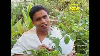 Ayurvedic Treatment of Mental Diseases   Acharya Balkrishna Episode 1 [upl. by Nomyad935]