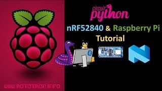 CircuitPython nRF52840 amp Raspberry Pi Tutorial [upl. by Ander530]