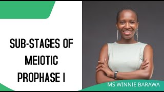 SUBSTAGES OF PROPHASE I OF MEIOSIS LEPTOTENE ZYGOTENE PACHYTENE DIPLOTENE DIAKINESIS [upl. by Nednal]