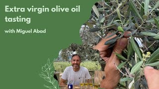 Tasting of extra virgin olive oil [upl. by Nodnarb]