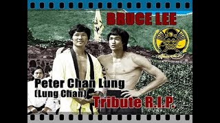 李小龍 Bruce Lee Tribute RIP Peter Chan Lung Lung Chan ブルース・リー [upl. by Alyad918]