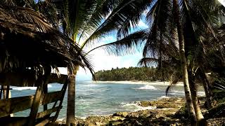 Peaceful Ocean Waves Tropical Paradise for Relaxation Enjoyment Calmness asmr watersounds waves [upl. by Gaile]