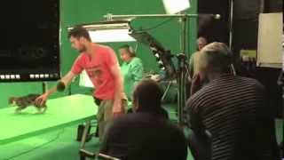 Making of the Feliway Advert behind the scenes and interviews [upl. by Yelsnik]