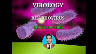 Rhabdo Viruses Rabies Virus Virology [upl. by Nawat742]