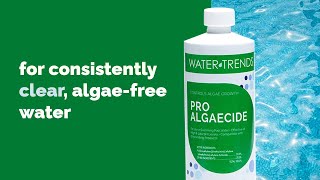 Defeat Algae with Ease with Pro Algaecide [upl. by Jarlath]