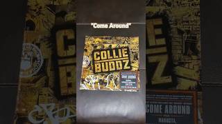 quotCome Aroundquot by Collie Buddz from the self titled album colliebuddz vinyl reggae ganjaman [upl. by Suedama]