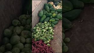 Ganesh Mandira unit1 Market Cheapest Prasd in Bhubaneswar yt food odia odisha bhubaneswar [upl. by Acemahs621]