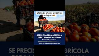 Oferta de Empleo Disponible en España agricultura empleo jobs trabajo agricultores newjobs [upl. by Calderon]