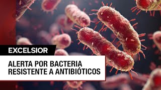 ¿Qué es la klebsiella oxytoca la bacteria detectada en hospitales del Edomex [upl. by Hamlani]