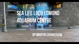 Sea Life Loch Lomond Aquarium Centre  Scotland [upl. by Kyred582]