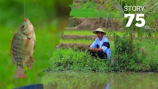 My tilapia specials  Filipino Countryside Life Story 75 [upl. by Buskirk65]