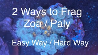 2 Ways to Frag Zoanthids  Palythoas  Zoa  Paly Fragging Saltwater Coral Reef Aquarium [upl. by Osrock470]