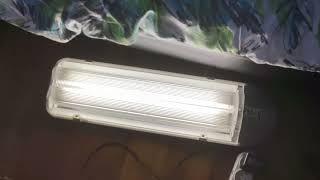 Start up PIERLITE GS214 T5 2 X 14WATT FLUORESCENT STREET LIGHT [upl. by Ern]