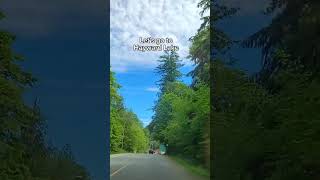 Lets go to Hayward Lake nature lake beautifulbc outdoors summer videooftheday [upl. by Chrystal890]