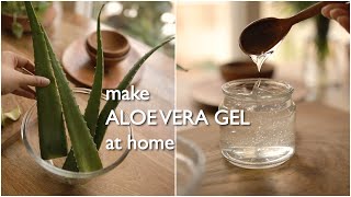 2 ways to make pure organic aloe vera gel at home and preserve for months [upl. by Akineg]