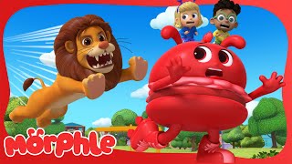 Morphle the Giant Hamburger 🍔  BRAND NEW  Cartoons for Kids  Mila and Morphle [upl. by Michi]