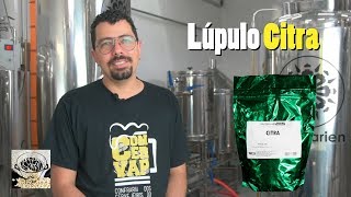 Lúpulo Citra [upl. by Ciprian]