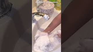 NO LIQUID ONLY POWDER ASMR  COMET POWDER PLAY SPONGE SQUEEZES  SATISFYING SPONGE SQUEEZING ASMR [upl. by Ingram]