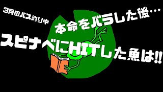 茨城県のとある池で雷魚釣り【ひげかへる】 [upl. by Ellahcim]