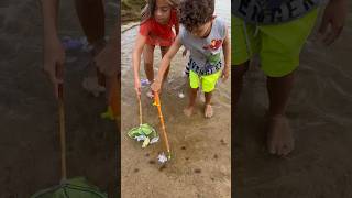 Em busca de peixinhos coloridos no mar ferias divertido brincante [upl. by Gomar453]