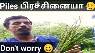 How to prevent piles  மலச்சிக்கல் அல்லது உள் மூலம் வெளி மூலம் கவலை வேண்டாம்  சரி செய்யலாம் [upl. by Eustacia]