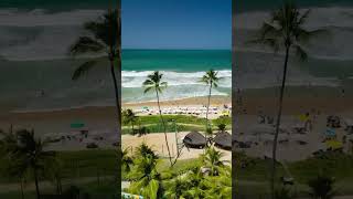 Melhor Resort All Incluisve em Porto de Galinhas [upl. by Eessej743]